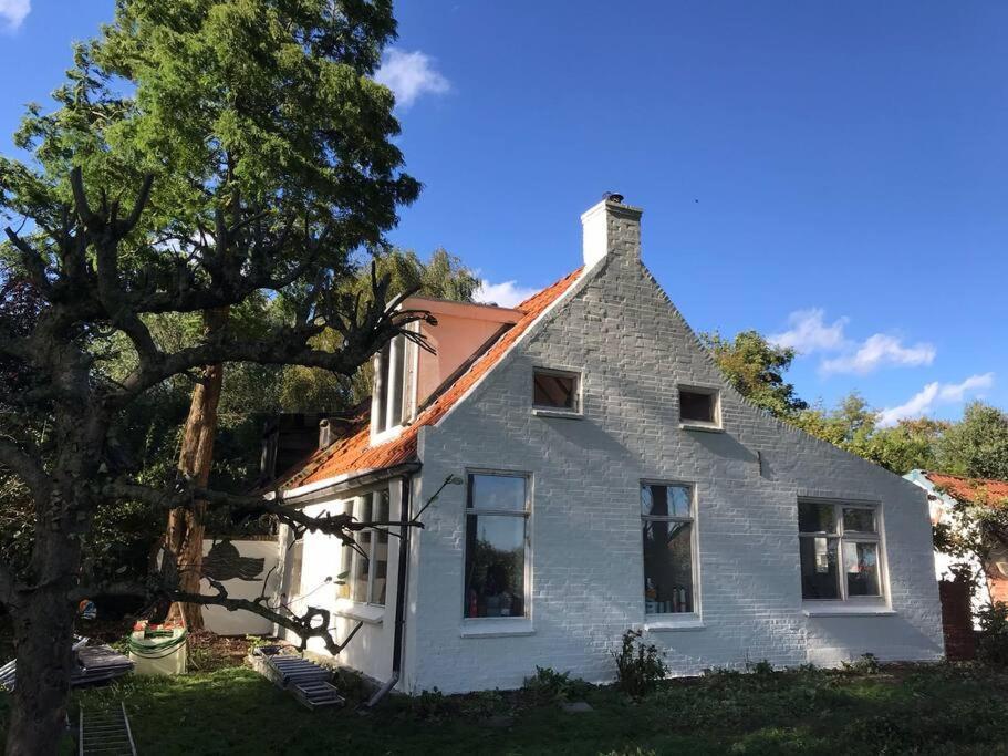 Vogelvrij Villa Vierhuizen Exterior foto