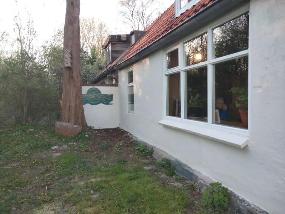 Vogelvrij Villa Vierhuizen Exterior foto